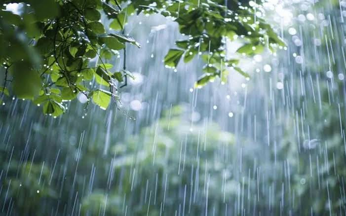 Sabah da yağış yağacaq - PROQNOZ 